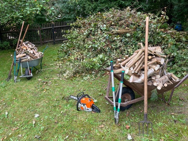 Site Clearing and Debris Removal
